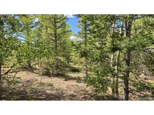6804 Ryland, San Luis, CO 81152