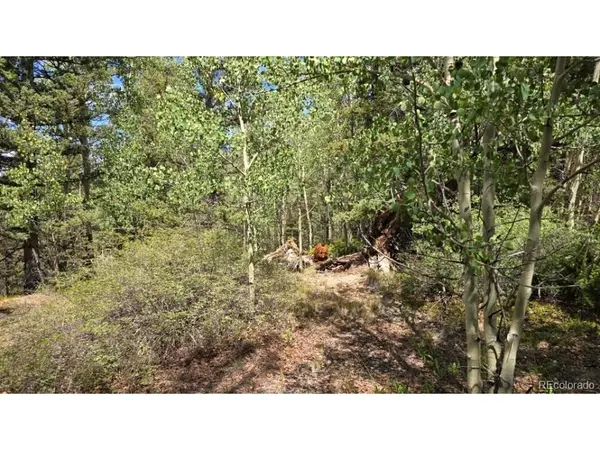 6804 Ryland, San Luis, CO 81152