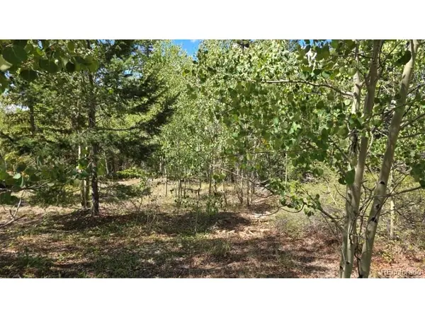 6804 Ryland, San Luis, CO 81152