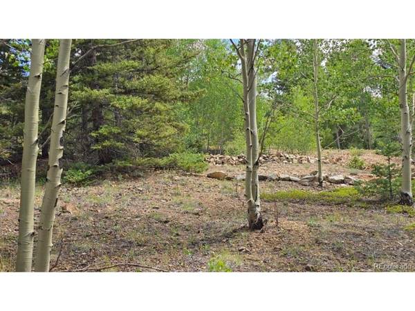 6804 Ryland, San Luis, CO 81152