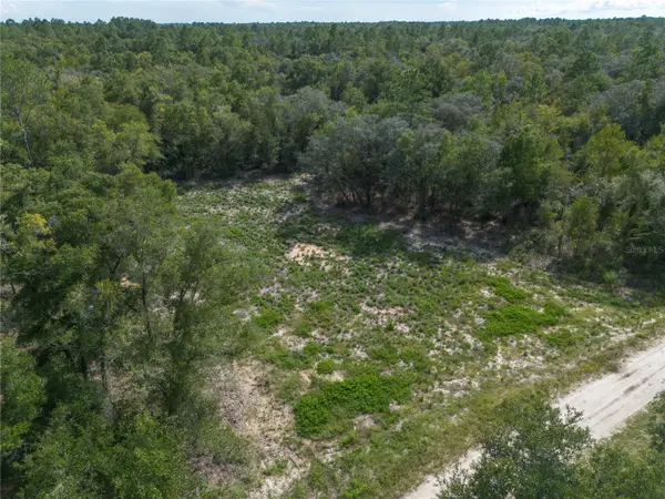 TBD NE 82ND PL, Bronson, FL 32621
