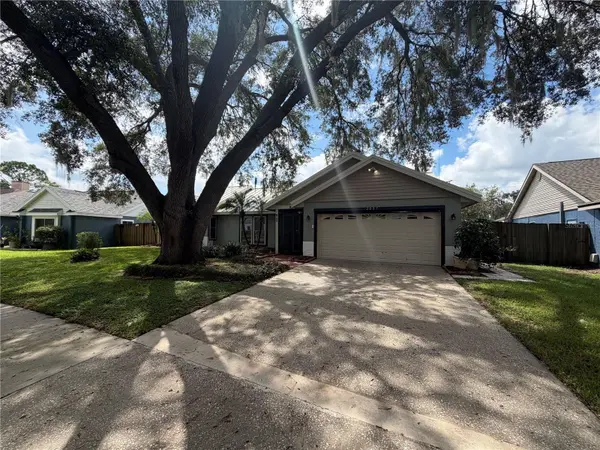 2007 DARLINGTON OAK DR, Seffner, FL 33584