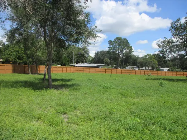 16061 SE 17TH ST, Ocklawaha, FL 32179