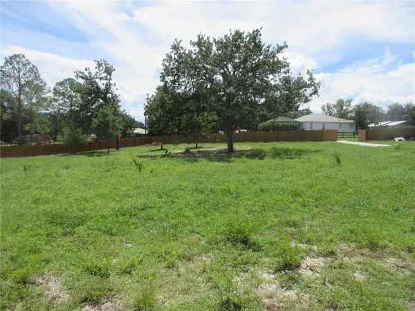 16061 SE 17TH ST, Ocklawaha, FL 32179