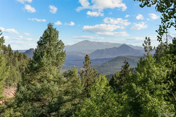 13328 Elsie RD, Conifer, CO 80433