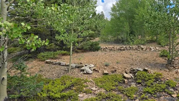Lot 6804 Ryland RD, San Luis, CO 81152