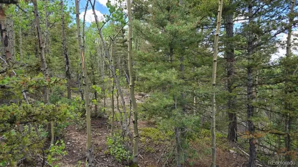 Lot 6803 Ryland RD, San Luis, CO 81152