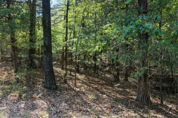 000 Lazy Acres RD, Protem, MO 65733
