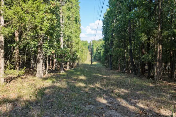 000 Lazy Acres RD, Protem, MO 65733