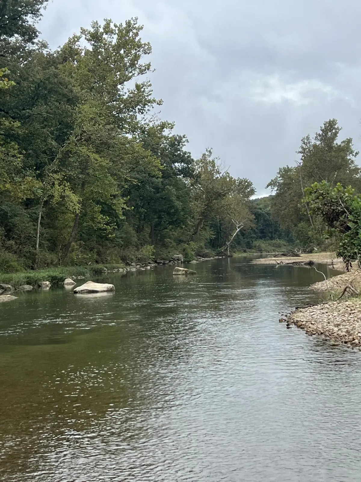 000 County Road 169, Brixey, MO 65618