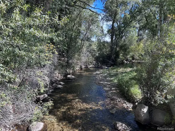 29571 County Road 350a, Buena Vista, CO 81211