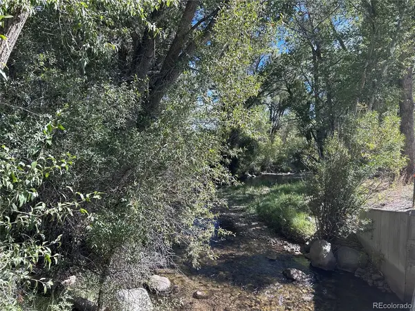 29571 County Road 350a, Buena Vista, CO 81211