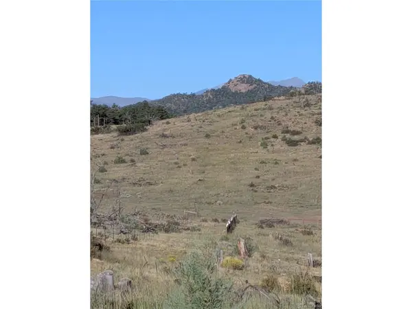 1263 23rd, Cotopaxi, CO 81223