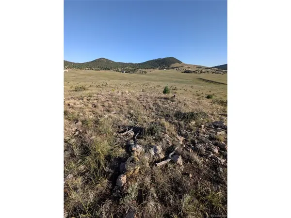 1263 23rd, Cotopaxi, CO 81223