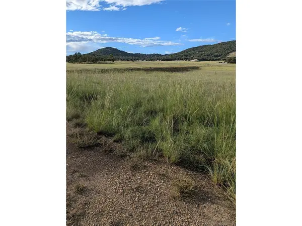 1263 23rd, Cotopaxi, CO 81223
