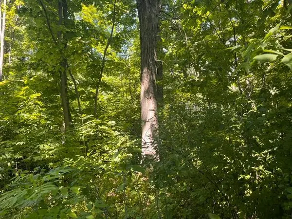 Lot 1 County Road BB, Woodville, WI 54028