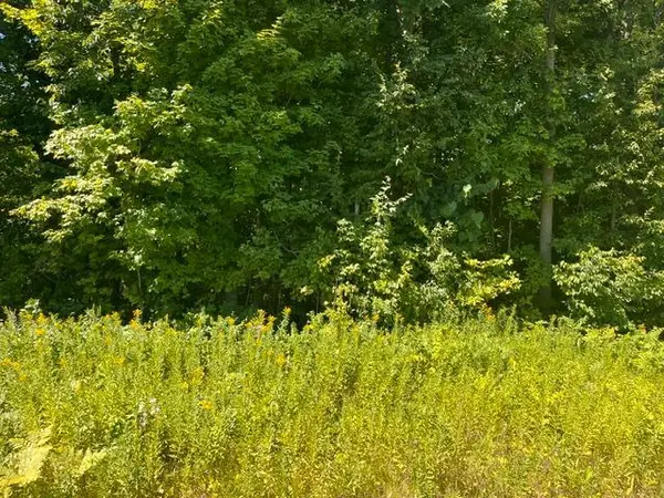 Lot 2 County Rd BB, Woodville, WI 54028