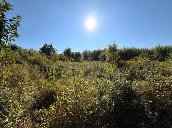 TBD 290th ST, Onamia, MN 56359