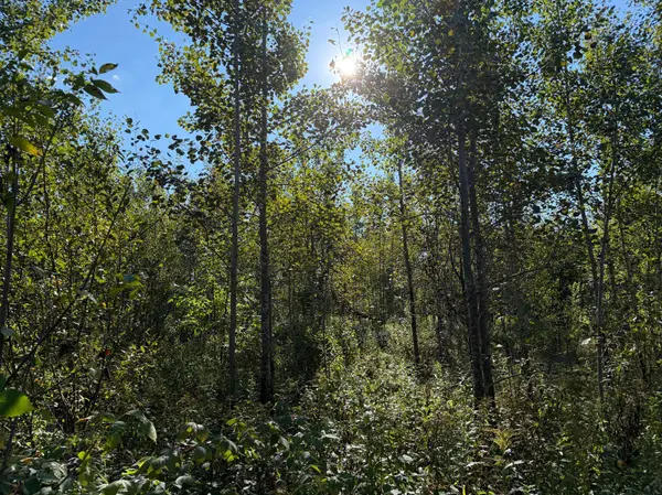 TBD 290th ST, Onamia, MN 56359