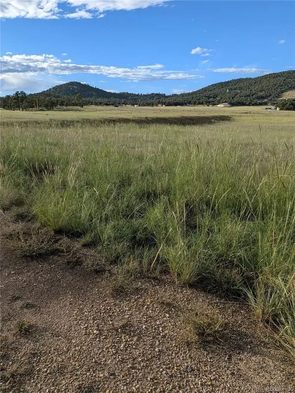 1263 23rd TRL, Cotopaxi, CO 81223