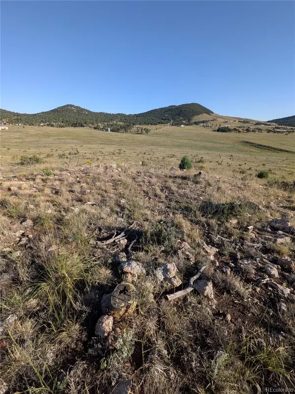 1263 23rd TRL, Cotopaxi, CO 81223