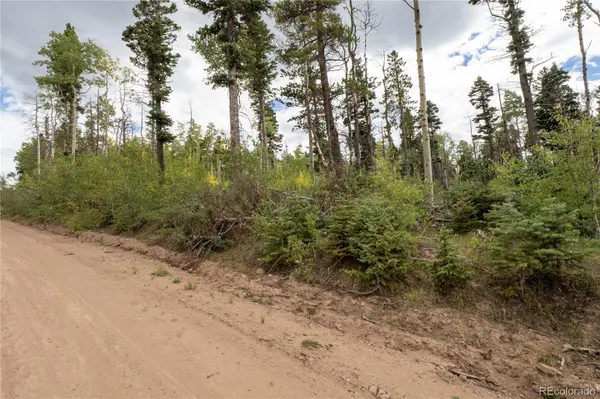 Lot 2614 Petito DR, Fort Garland, CO 81133