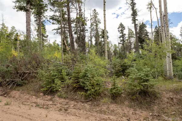 Lot 2614 Petito DR, Fort Garland, CO 81133