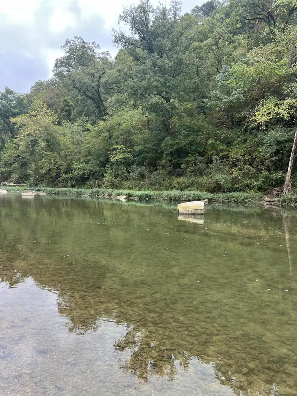 000 County Road 169, Brixey, MO 65618