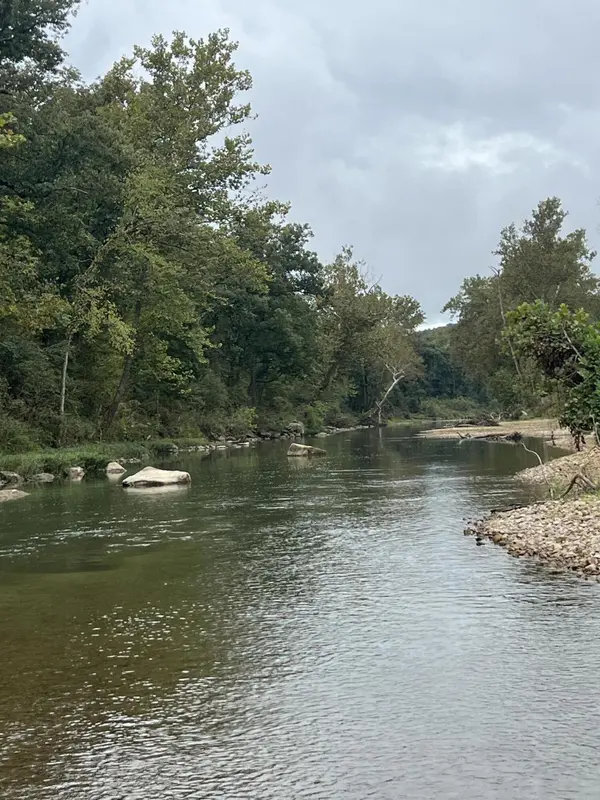 000 County Road 169, Brixey, MO 65618