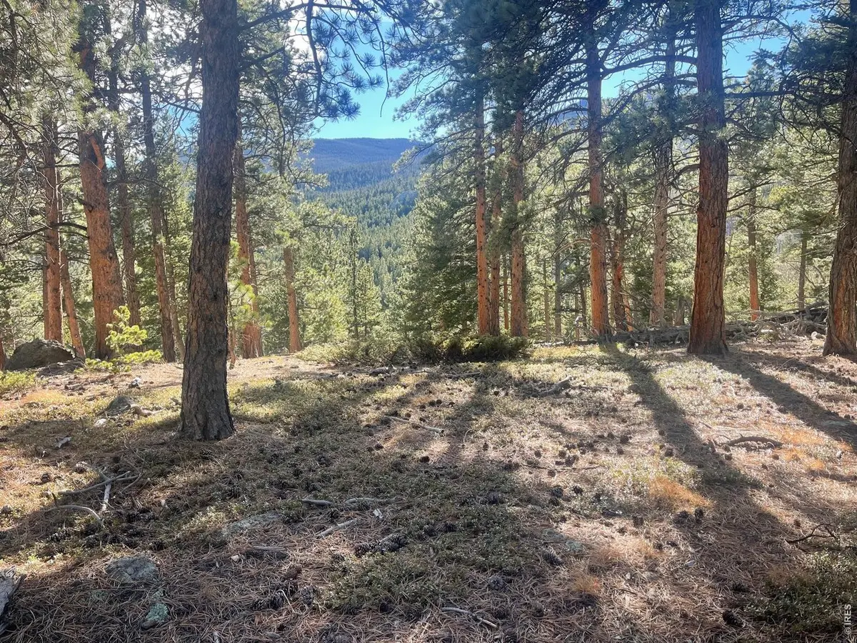 399 N Skinner, Allenspark, CO 80510
