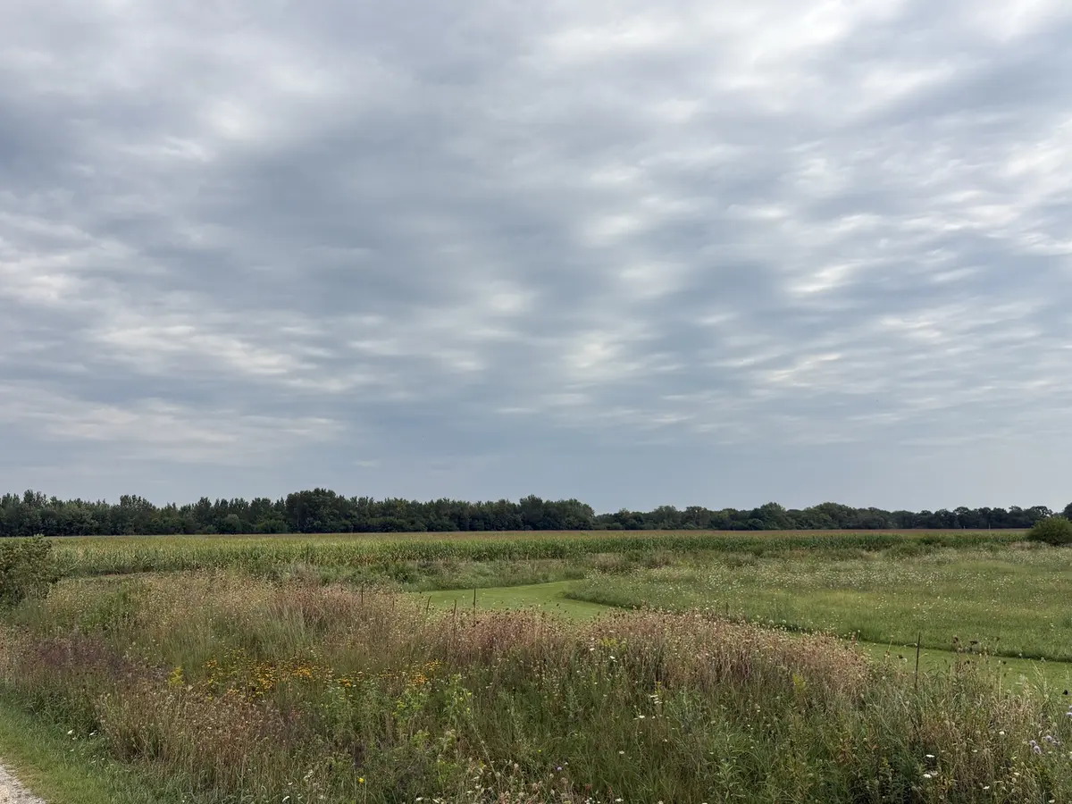 00 W Rt 113, Custer Park, IL 60481