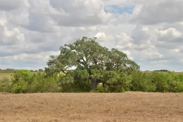 Tract 4 County Road 366, Shiner, TX 77984