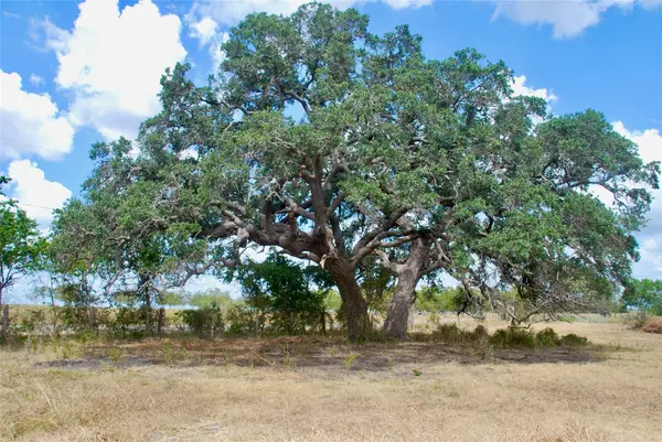 Tract 4 County Road 366, Shiner, TX 77984
