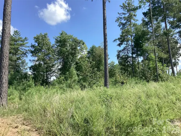3292 Pyramid Peak TRL #211, Connelly Springs, NC 28612