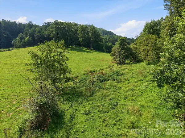 00000 Whippoorwill LN, Leicester, NC 28748