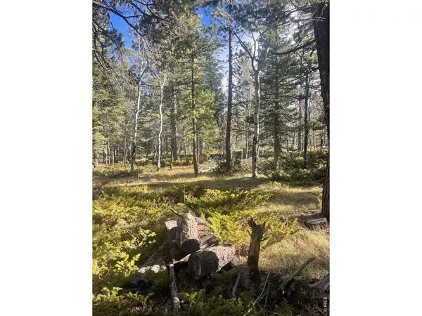 399 N Skinner, Allenspark, CO 80510