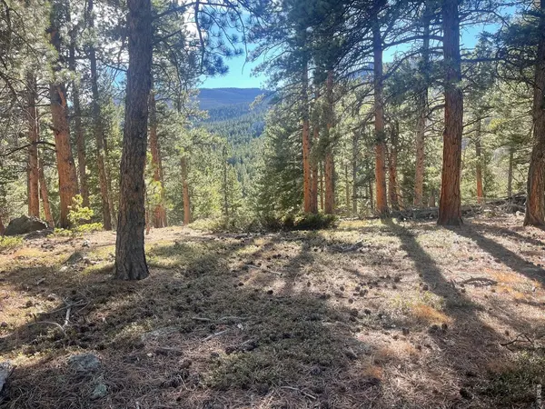 399 N Skinner, Allenspark, CO 80510