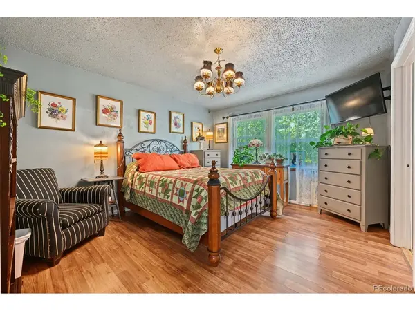 1817 Silver Eagle, Leadville, CO 80461