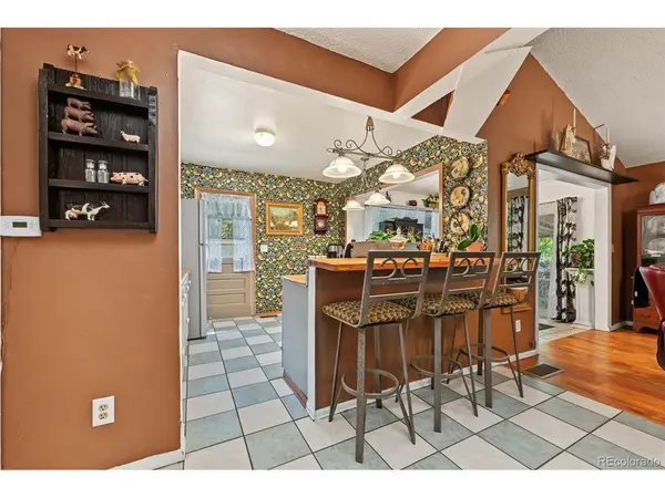 1817 Silver Eagle, Leadville, CO 80461