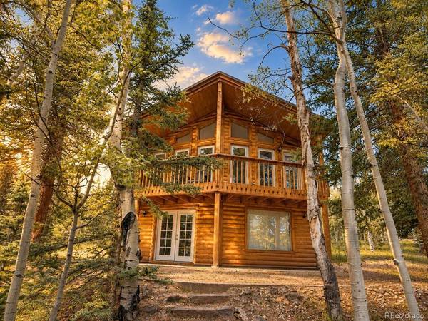38 Grebe, Como, CO 80456