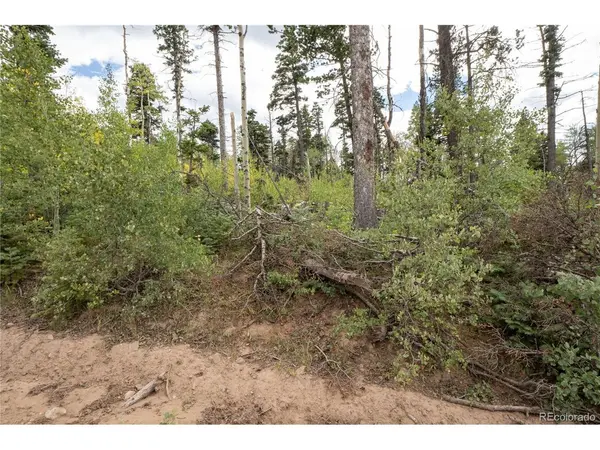 2614 Petito, Fort Garland, CO 81133