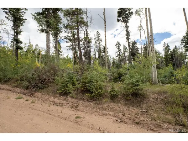 2614 Petito, Fort Garland, CO 81133