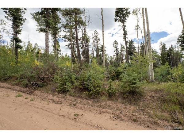 2614 Petito, Fort Garland, CO 81133