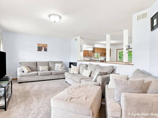 24878 W Highwoods DR, Lake Villa, IL 60046