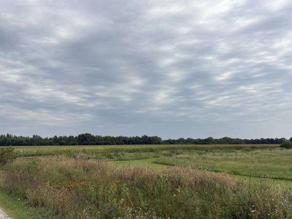 00 W Rt 113, Custer Park, IL 60481