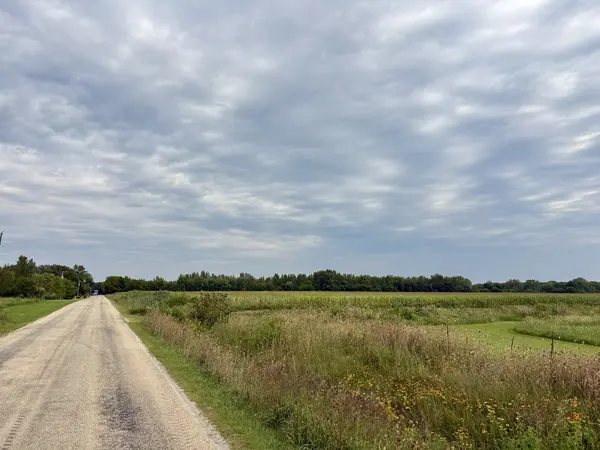 00 W Rt 113, Custer Park, IL 60481