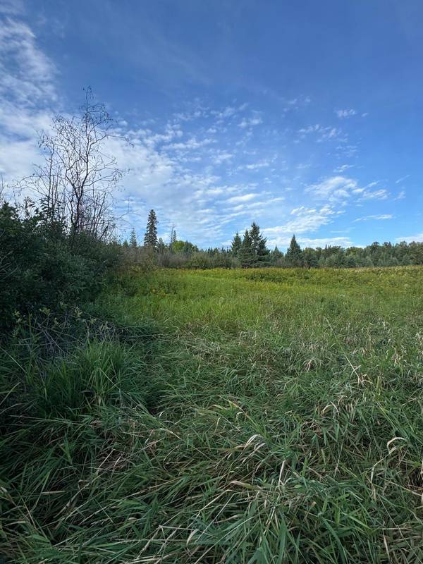 TBD Gull Lake Loop Road, Hines, MN 56647