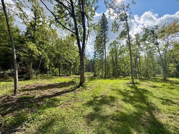 56305 S Dora Lake RD, Northome, MN 56661