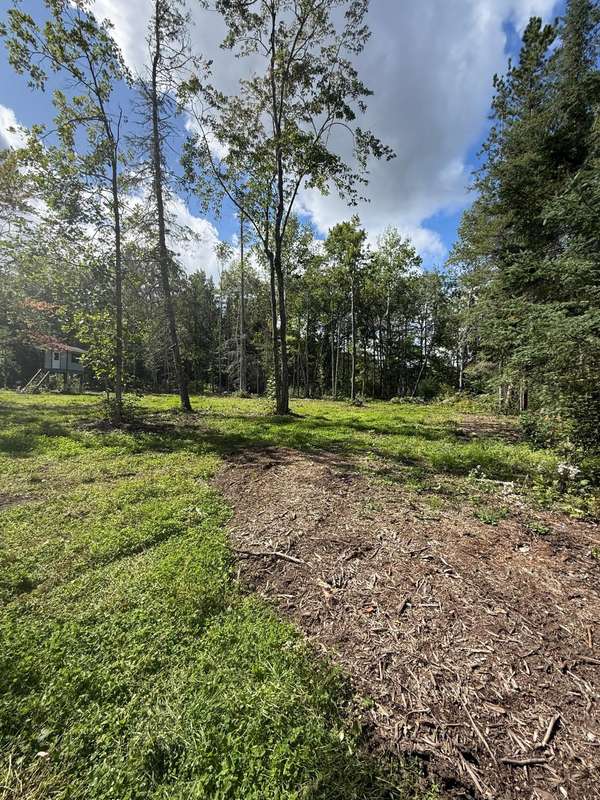 56305 S Dora Lake RD, Northome, MN 56661