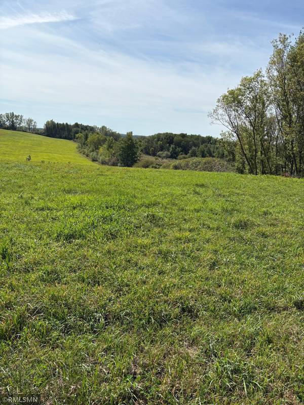 510 E Rosenlund ST, Woodville, WI 54028